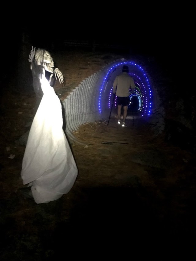 Ghost Train_Night Tunnel